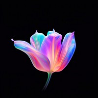 Pastel tulip purple flower petal. AI generated Image by rawpixel.