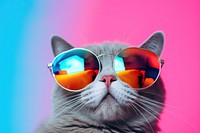 Cat wearing sunglasses mammal animal photo. AI generated Image by rawpixel.