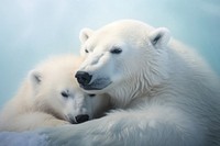 Polar bear cuddling wildlife animal mammal. AI generated Image by rawpixel.