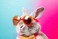 Rabbit wearing sunglasses mammal animal rodent. AI generated Image by rawpixel.