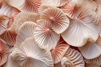 Sea shell texture mushroom fungus plant. AI generated Image by rawpixel.