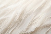 White feather texture lightweight backgrounds full frame. AI generated Image by rawpixel.