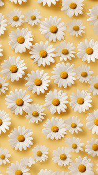 Chamomile flower backgrounds pattern petal. AI generated Image by rawpixel.