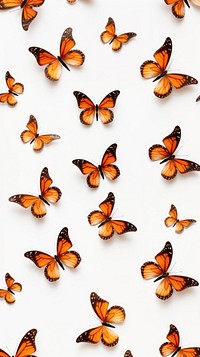 Butterfly backgrounds pattern animal. AI generated Image by rawpixel.
