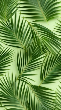 Palm leaf backgrounds vegetation outdoors. AI generated Image by rawpixel.