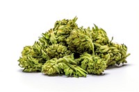 Marijuana bud plant herbs. AI generated Image by rawpixel.
