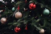 Christmas tree decorated ornament plant green. AI generated Image by rawpixel.