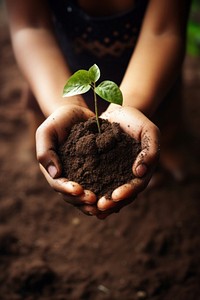 Kid plant soil gardening. AI generated Image by rawpixel.