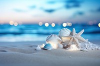 Seashell beach outdoors nature. AI generated Image by rawpixel.