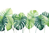 Monstera leaf border backgrounds nature plant. AI generated Image by rawpixel.