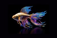 Gold fish animal underwater goldfish. 