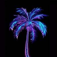 Palm tree plant light illuminated. AI generated Image by rawpixel.