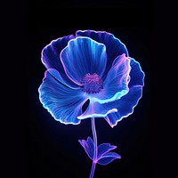 Poppy light inflorescence accessories. AI generated Image by rawpixel.