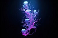 Seaweed jellyfish nature invertebrate. AI generated Image by rawpixel.