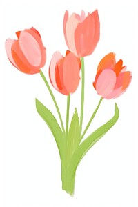 Bouquet tulip flower plant white background. AI generated Image by rawpixel.