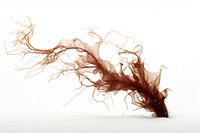White background splattered motion branch. AI generated Image by rawpixel.