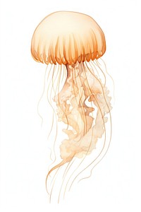 Single jellyfish invertebrate underwater undersea. AI generated Image by rawpixel.