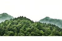 Green mountain forest vegetation outdoors. AI generated Image by rawpixel.