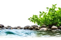 River outdoors nature plant. AI generated Image by rawpixel.