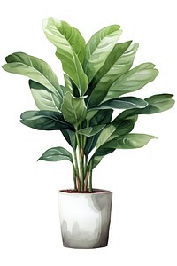 Potted plant leaf vase white background. AI generated Image by rawpixel.