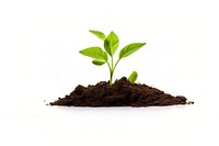 Green plant soil sprout leaf. AI generated Image by rawpixel.