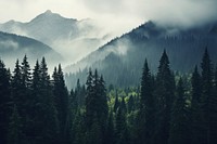 Misty mountain landscape forest outdoors woodland. AI generated Image by rawpixel.