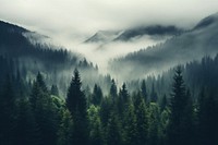 Misty mountain landscape forest mist outdoors. AI generated Image by rawpixel.