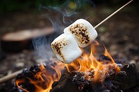 Roasted marshmallow fire bonfire wood. AI generated Image by rawpixel.