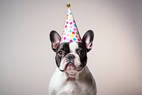 French bulldog wearing party hat mammal animal pet. AI generated Image by rawpixel.
