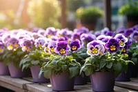 Flower pansy outdoors nature. AI generated Image by rawpixel.