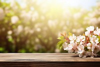 Sunlight outdoors blossom flower. AI generated Image by rawpixel.