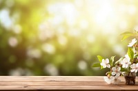Sunlight outdoors blossom nature. AI generated Image by rawpixel.
