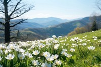 Landscape flower grassland mountain. AI generated Image by rawpixel.
