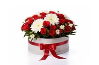 Flower plant white gift. AI generated Image by rawpixel.