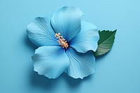 Blue hibiscus flower petal plant inflorescence. AI generated Image by rawpixel.