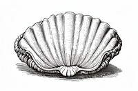 Yummy scallop sketch seashell drawing. AI generated Image by rawpixel.