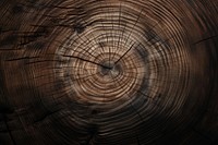 Wood texture nature forest. AI generated Image by rawpixel.