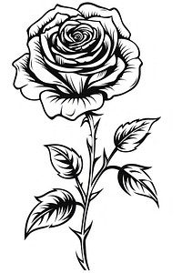 A minimal rose sketch pattern drawing. AI generated Image by rawpixel.