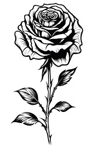 A minimal rose sketch drawing flower. AI generated Image by rawpixel.