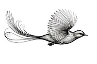 Minimal bird sketch drawing animal. AI generated Image by rawpixel.