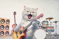 Cat guitar, hobby lifestyle illustration
