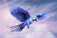 Parrot bird wildlife, animal nature illustration