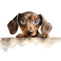 Dachshund mammal animal hound. AI generated Image by rawpixel.