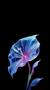 Anthurium flower petal plant. AI generated Image by rawpixel.