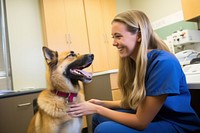 Veterinarian dog mammal animal. 