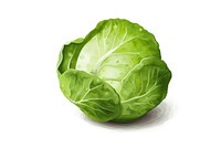 Brussels Sprout vegetable cabbage plant. AI generated Image by rawpixel.