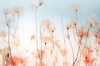 Sky flower backgrounds outdoors. AI generated Image by rawpixel.