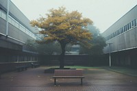 University architecture building outdoors. AI generated Image by rawpixel.