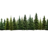 Tree plant green pine. AI generated Image by rawpixel.
