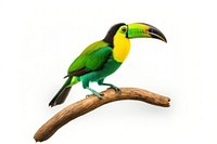 Emerald Toucanet toucan animal bird. AI generated Image by rawpixel.